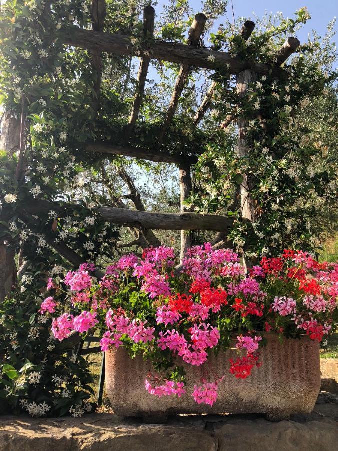 Agriturismo La Casella Castelfranco di Sopra エクステリア 写真